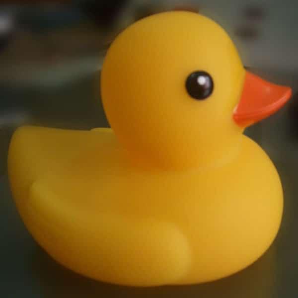 Mini Replica Duck